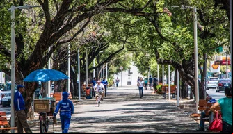 Av. Frei Serafim; Teresina; Meio Ambiente
