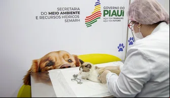 Castração Social