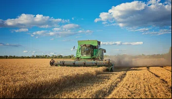 Produção agrícola
