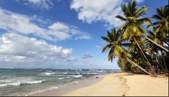 Praia