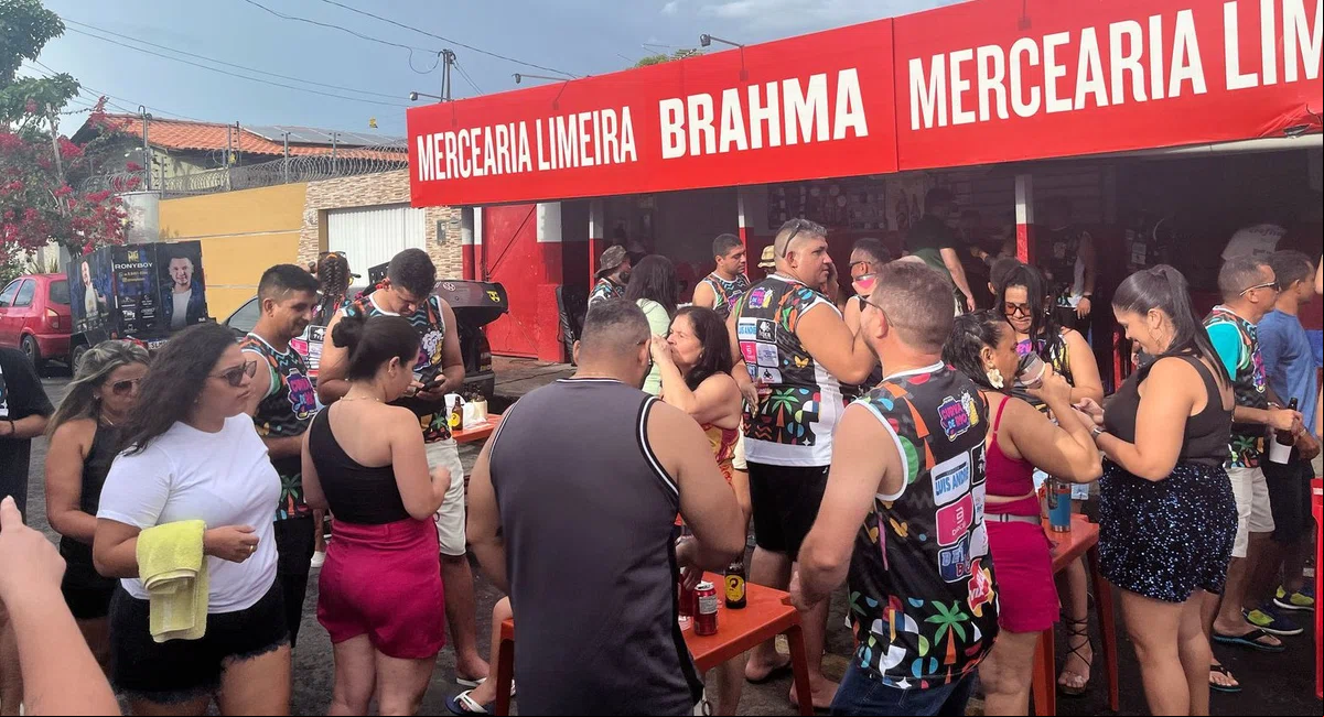Foliões curtem bloquinho de carnaval no Dirceu II